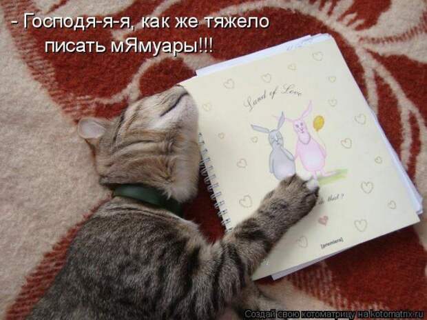 Мысли вслух :)