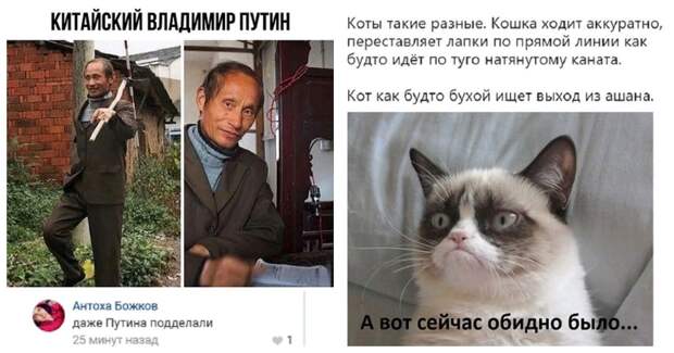 Отборный юмор из социальных сетей Отборный юмор из социальных сетей