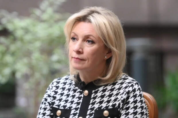 Захарова предложила ФРГ заняться «наведением порядка у себя дома»