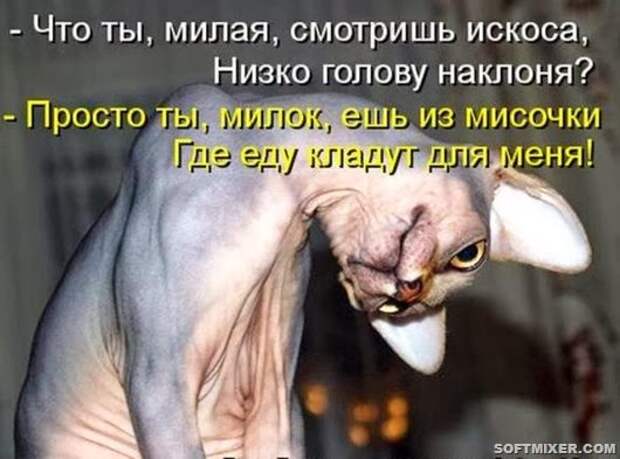 5fe2c4b405948824ac0b92568ce_prev
