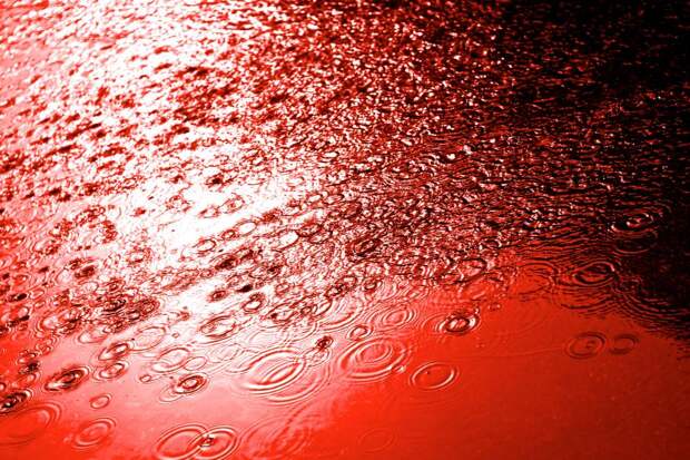 «Кровавый дождь» может обрушиться на Великобританию — на страну надвигается облако сахарской пыли: Новости ➕1, 17.05.2022