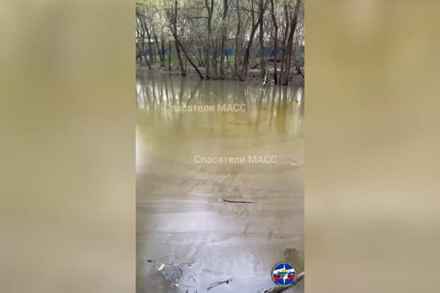 Река в российском городе наполнилась маслом