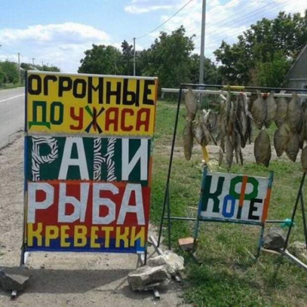 Смешные надписи, объявления и вывески (24 фото)