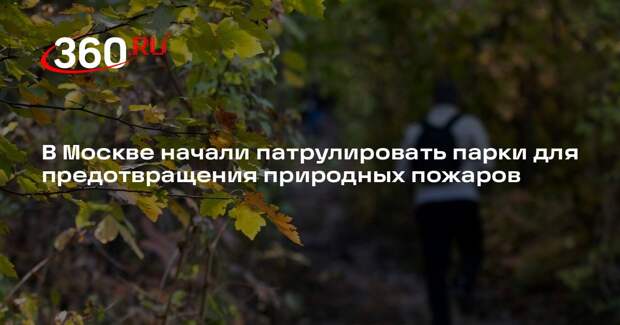 В Москве начали патрулировать парки для предотвращения природных пожаров