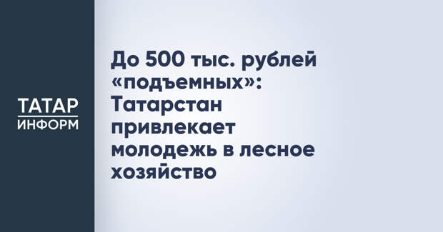 До 500 тыс. рублей «подъемных»: Татарстан привлекает молодежь в лесное хозяйство