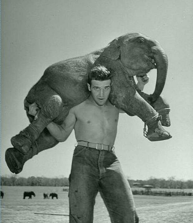 Жизнь в цирке. Фотография Лумиса Дин, 1952 Весь Мир в объективе, ретро, фотографии
