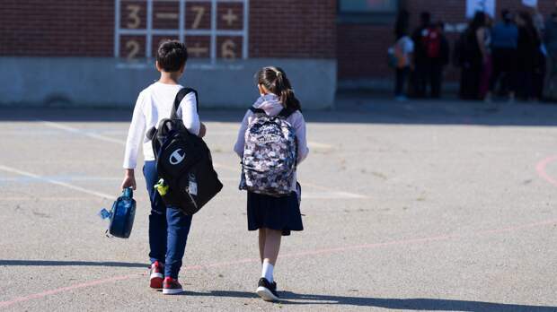 Профессор Погожева: лишний вес и ожирение встречаются у 28% детей в России