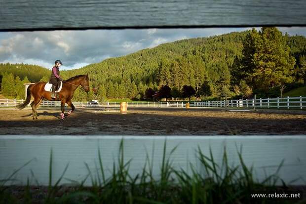 october_035 october_035
