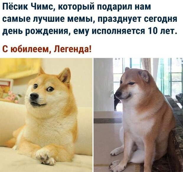 Смешные комментарии и картинки из соц. сетей