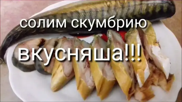 8 способов быстро и вкусно засолить скумбрию в домашних условиях - Статьи на ingstok.ru