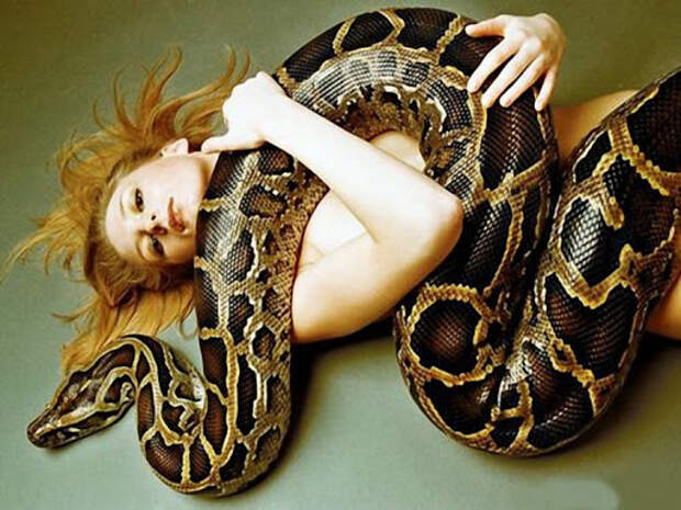 Девушка со змеей | Студия праздника «Paradise»