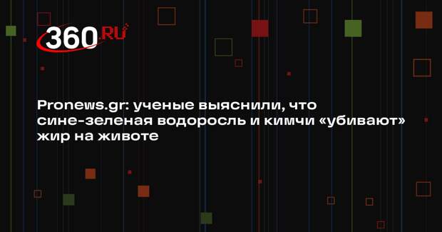 Pronews.gr: ученые выяснили, что сине-зеленая водоросль и кимчи «убивают» жир на животе