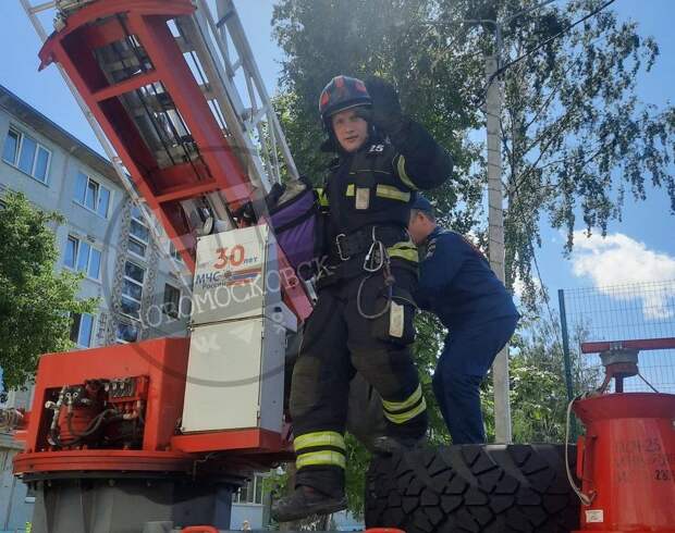 В Новомосковске пожарные спасли кошку, которая неделю просидела на балконе без еды