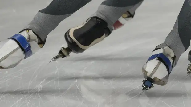 Чемпионат Европы по шорт-треку 2022 года в Дрездене отменён