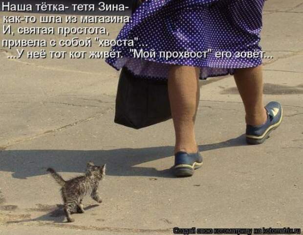 Котоматрицы (картинки с надписями)