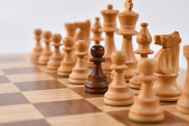 Будущие гроссмейстеры из Текстильщиков выступили на празднике шахмат в Лужниках