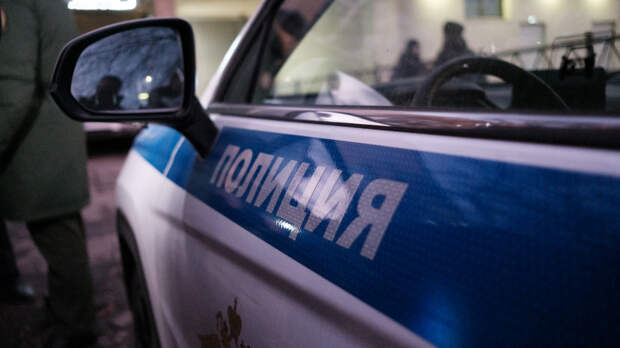 Пропали после прогулки: в Омске ищут братьев 10 и 11 лет