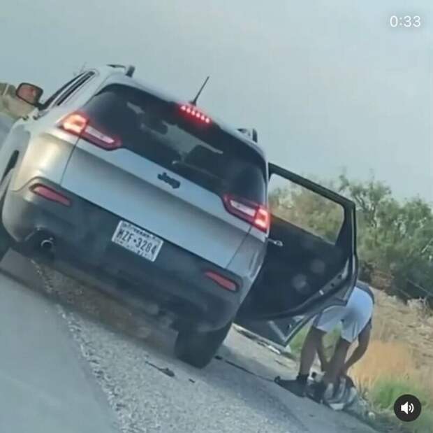 В Техасе арестовали мужчину, который бросил хаски на дороге
