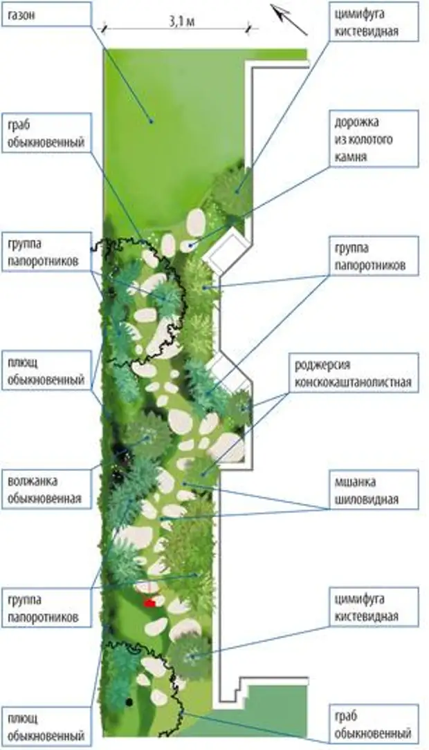 Длинный план. Планировка и Озеленение узкого участка. Схема сада на узком участке. План размещения растений на длинном узком участке. Планирование земельного узкого участка для озеленения.