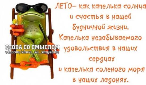 Веселые цитаты в картинках.