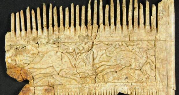 В Баварии нашли гребень из слоновой кости возрастом 1500 лет