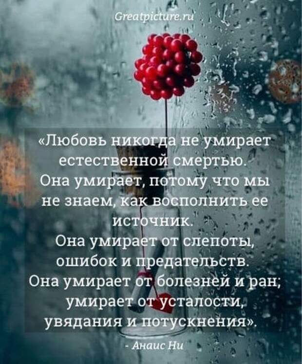 20 цитат о любви, которые заставят ваше сердце открыться!1