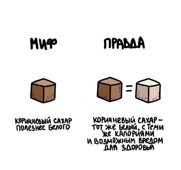 Самые разные короткие факты на все случаи жизни