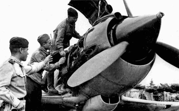 mig9-nos-max.jpg mig9-nos-max.jpg