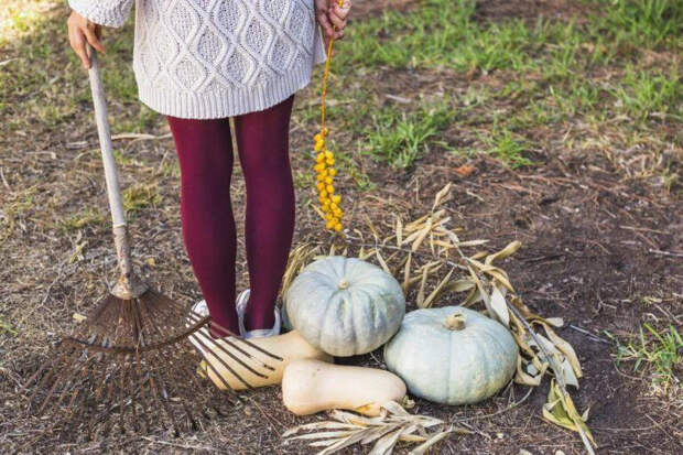 Как ускорить созревание компоста: простая смесь крахмала и мочевины