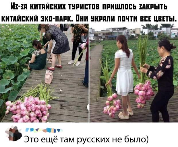 Подборка картинок. Дневной выпуск (30 фото)