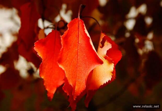 october_021 october_021