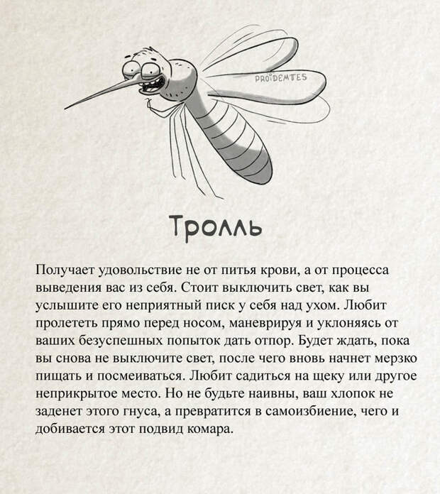 Классификация комаров Proidemtes, Комары, Юмор, Длиннопост, Насекомые