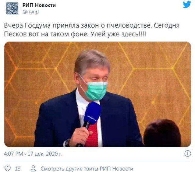 205565_9_trinixy_ru.jpg