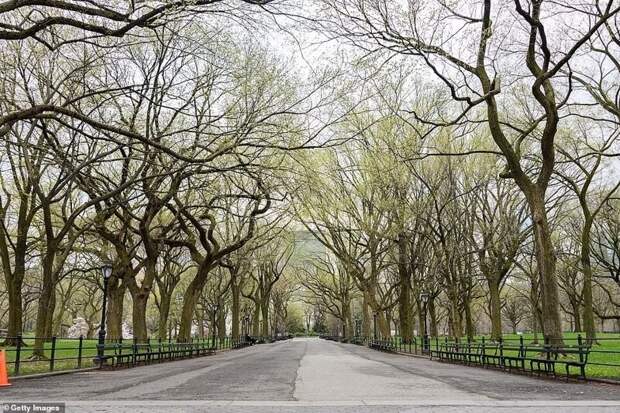 Пустая пешеходная эспланада в Центральном парке в прошлом году и то же место 11 марта 2021 года