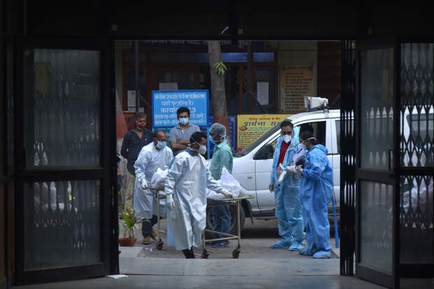 РИА: из-за вируса Нипах следует не употреблять немытые продукты