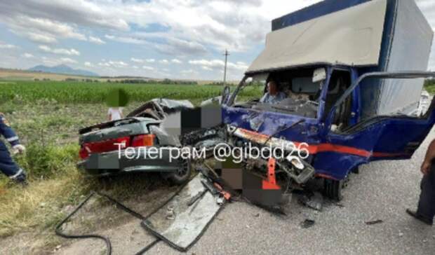 Три человека погибли в лобовой аварии с фурой на Ставрополье