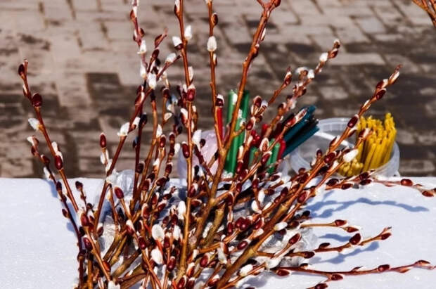 Священник Сеньчуков сказал, что запрещено делать в Вербное воскресенье