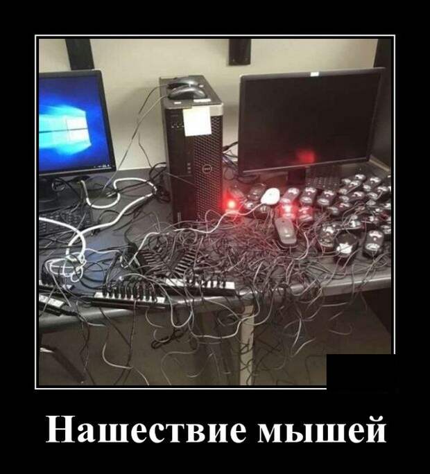 Демотиваторы (20 фото)