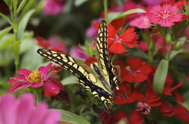 Есть только миг между прошлым и будущем... Есть только миг между прошлым и будущем...