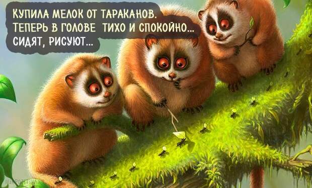 Самая веселая подборка прикольных картинок Самая веселая подборка прикольных картинок