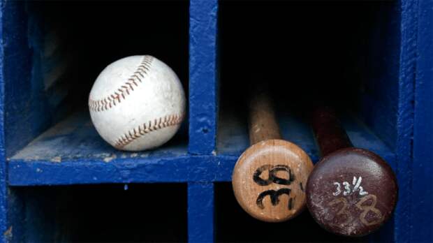 baseball bat storage