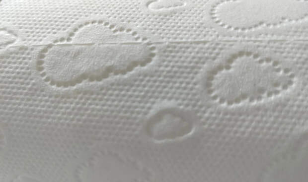 Утверждён новый ГОСТ на туалетную бумагу: какая должна быть ширина