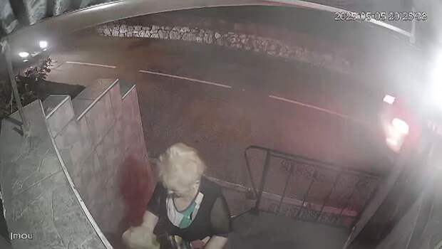 Очевидцы сообщают о том, что пожилая женщина, раскладывает по улицам Ялты приманки с ядовитыми веществами, нацеленные на бездомных животных