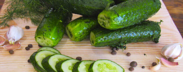 Малосольные огурцы в пакете «Пальчики оближешь» вкусный рецепт с фото пошагово и видео