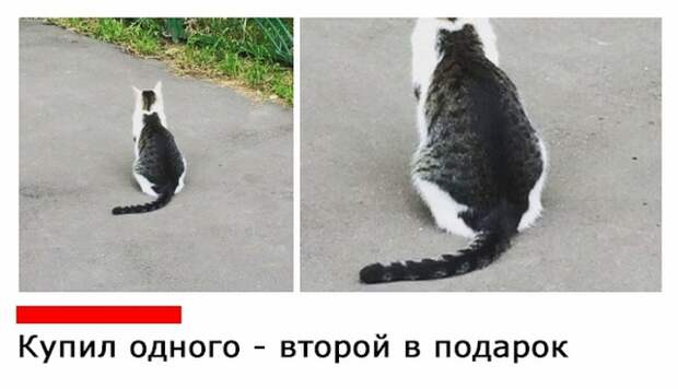 Подборка картинок (20 фото)