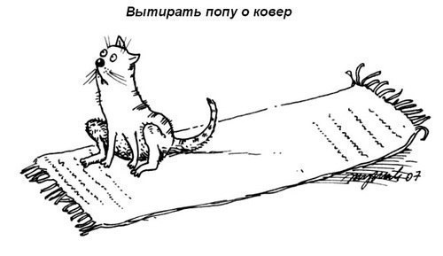 Кошачий пост жизнь кота, кот