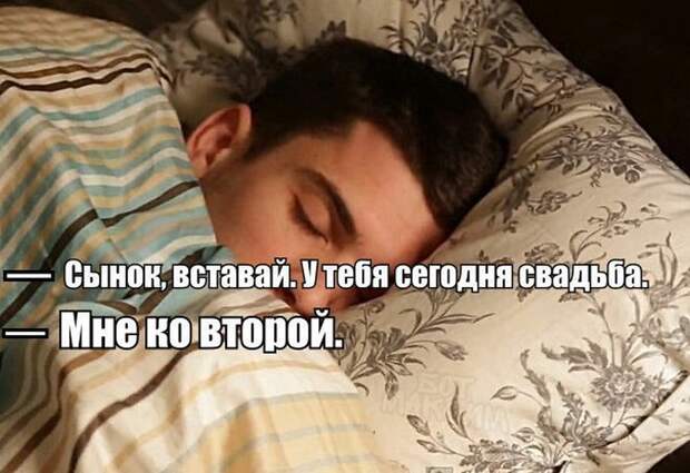 Прикольные картинки 24.08.17