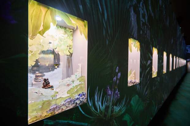 Иммерсивная выставка «Эмоции. Магия» на ВДНХ