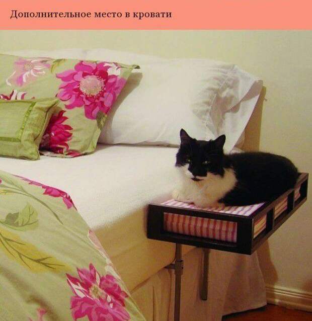 Дизайнерские штуки для котеек дизайн, котэ
