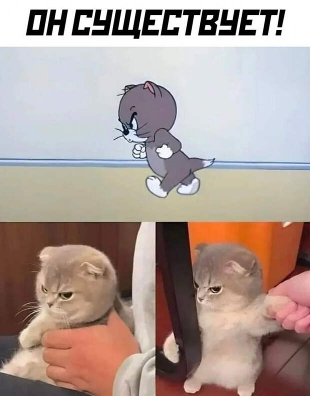 мем